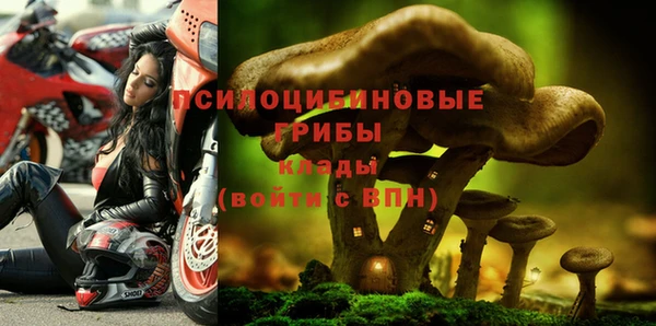 mdpv Медвежьегорск