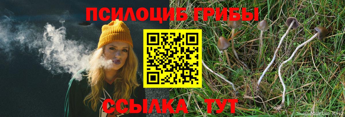 Феодосия  Галлюциногенные грибы Psilocybine cubensis  Вход с VPN  Псилоцибиновые грибы Psilocybe 