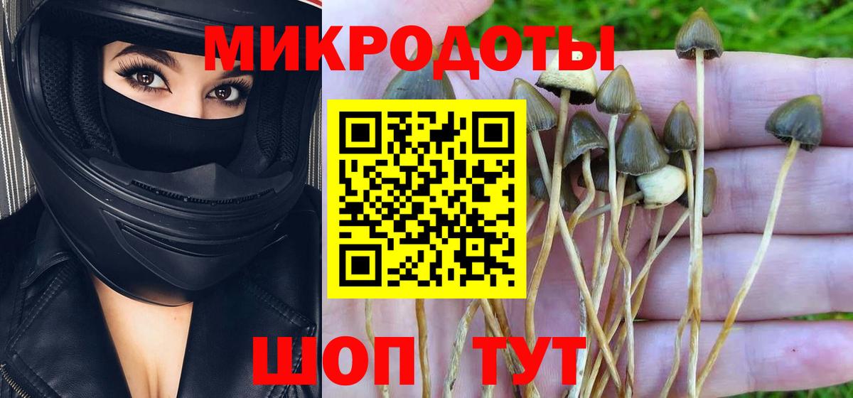 Галлюциногенные грибы MAGIC MUSHROOMS Феодосия
